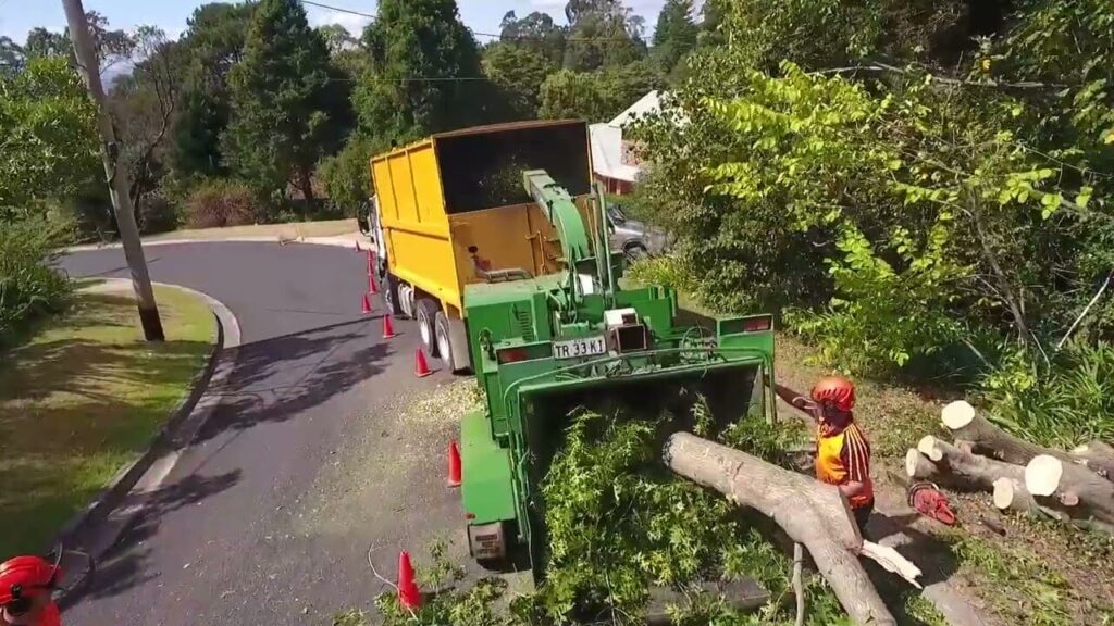 Tree Removal on the Central Coast
