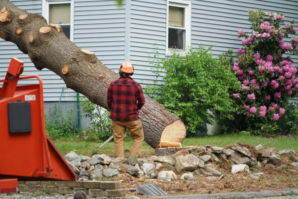 Reliable Tree Removal